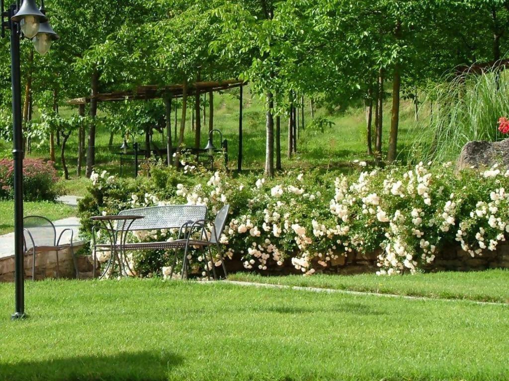 Agriturismo Podere La Casaccia Poppi Exterior photo